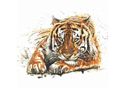 Фотообои Симфония Амурский тигр 4л 1398*1398мм